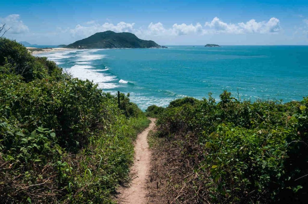 Trilhas em Florianópolis